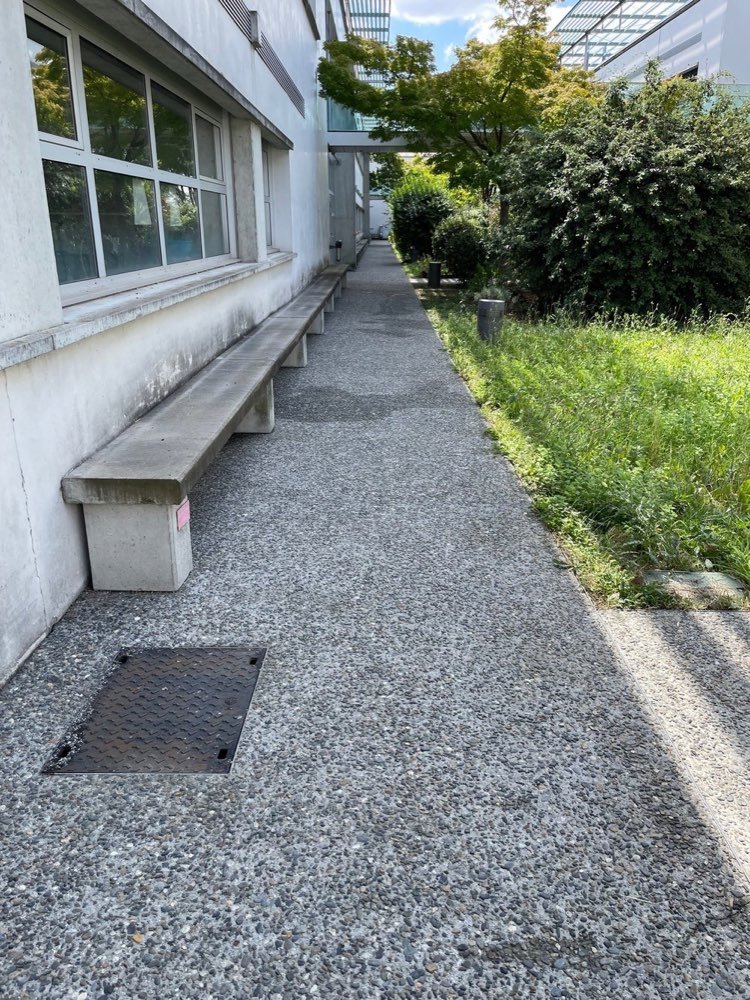 Même allée après nettoyage très haute pression